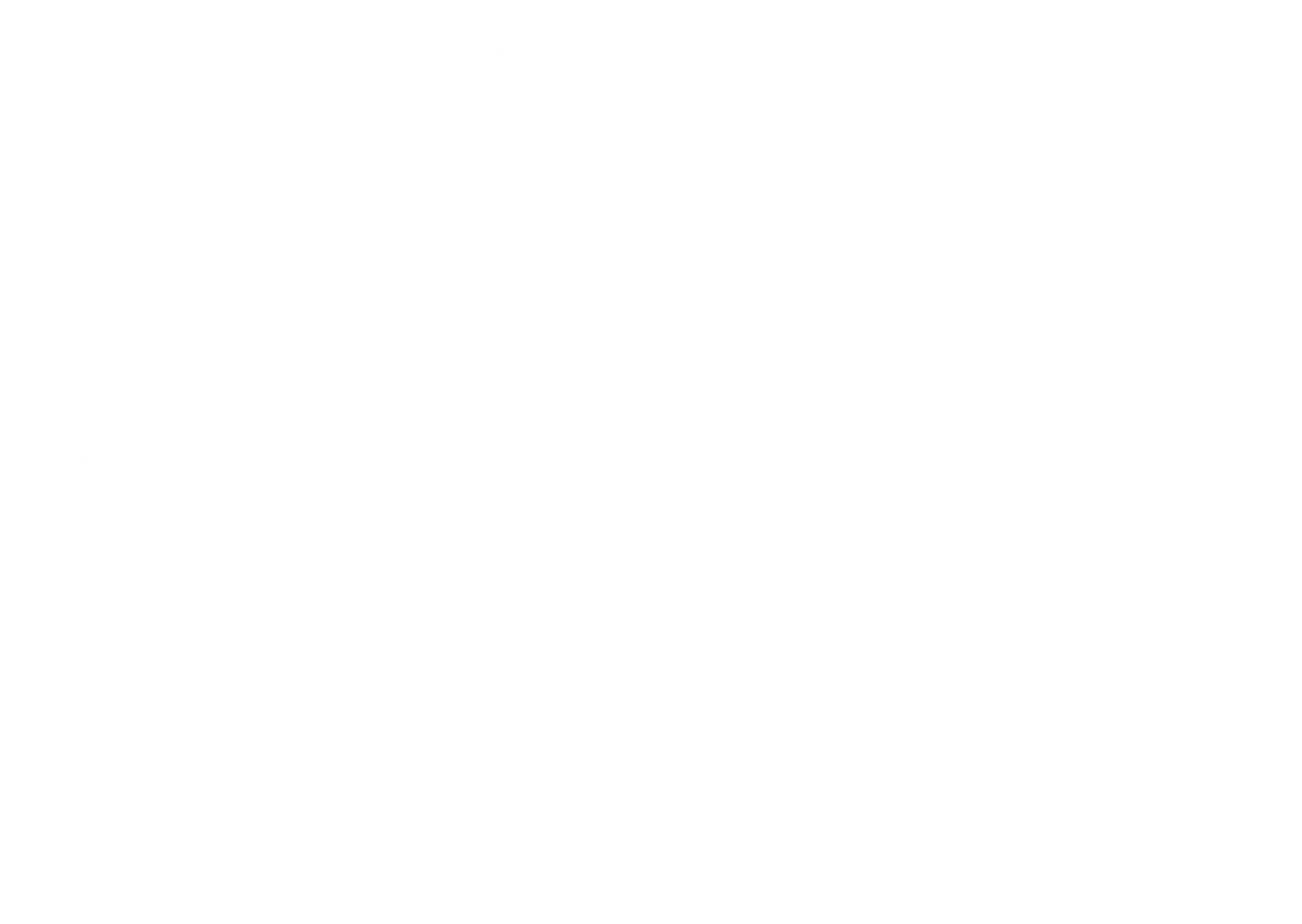 Ammonite